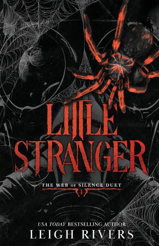 little stranger by leigh rivers